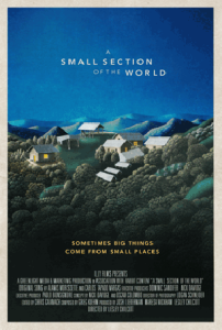 A_Small_section_poster