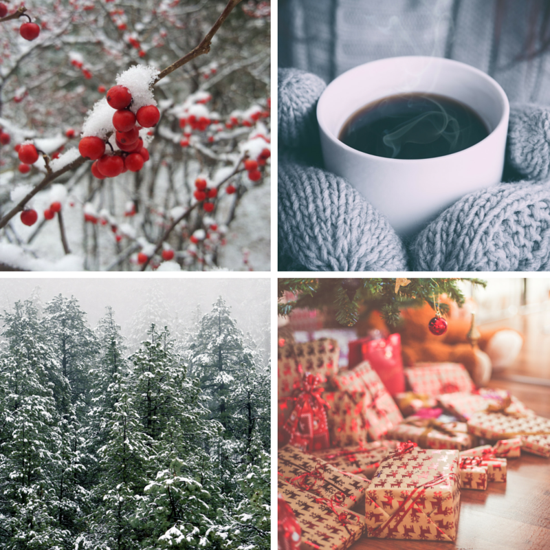 free winter holiday stock images